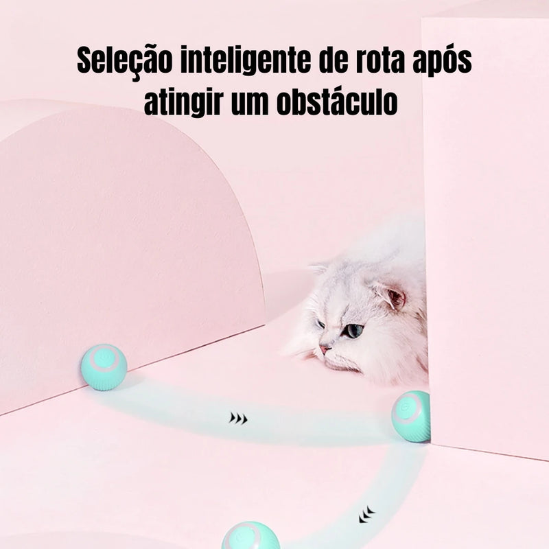 Bola Mágica Para Gatos 🐈