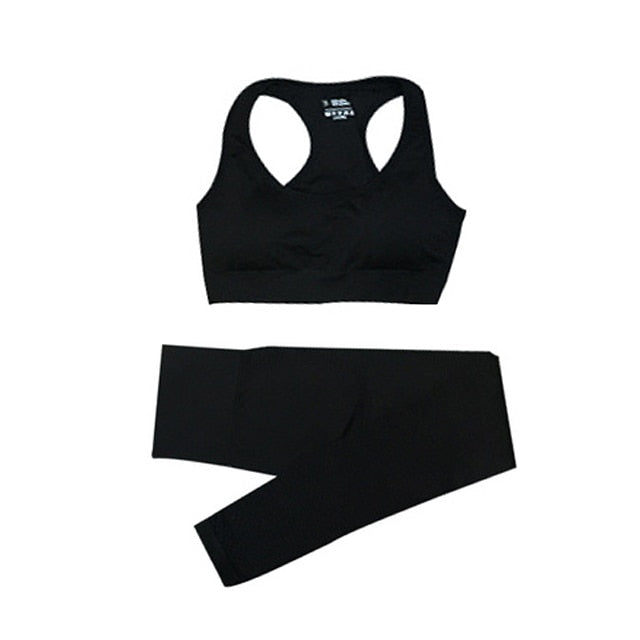 Conjunto Feminino Fitness Yoga - 2 peças - Shopping de Ideias March2021